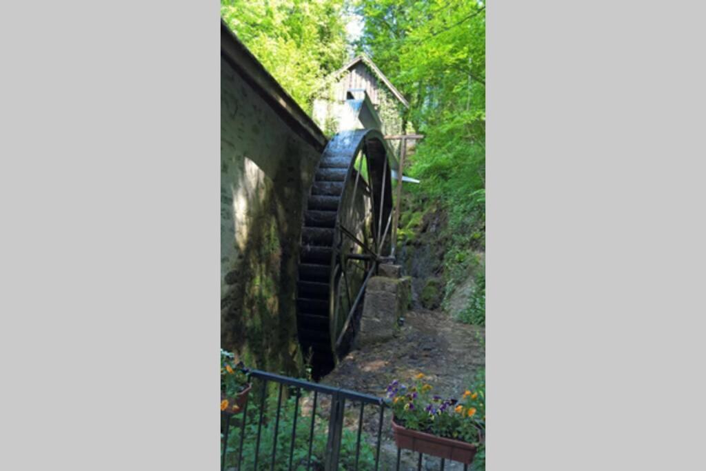 Le Portougais, chalet à Chanaz, la petite Venise savoyarde Exterior foto